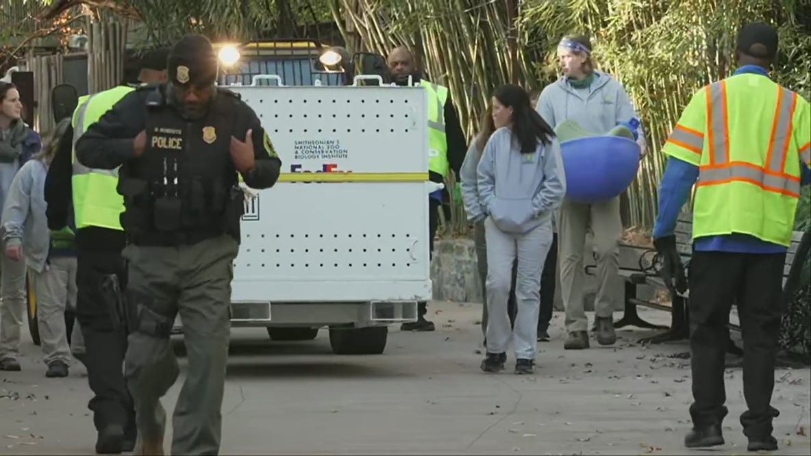 Giant panda Mei Xiang departs DC’s National Zoo for China